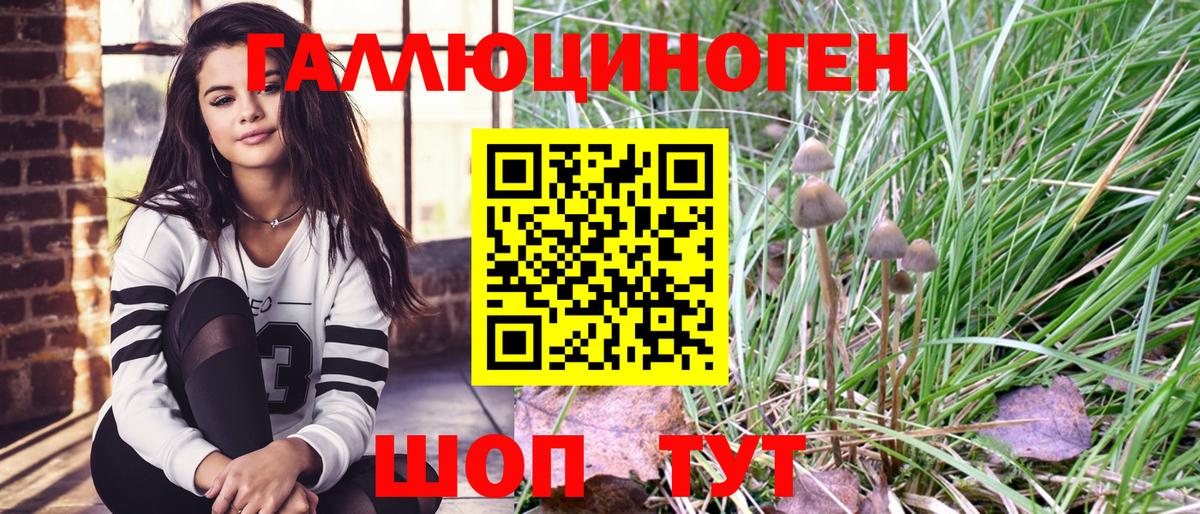 Галлюциногенные грибы Cubensis Дербент