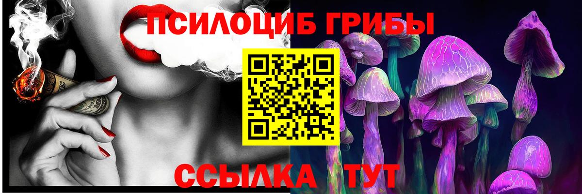 Дербент  Псилоцибиновые грибы мицелий  Галлюциногенные грибы мицелий  Вход с VPN 